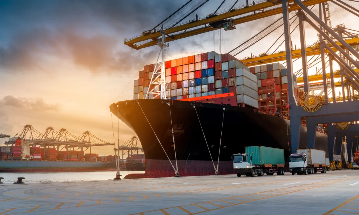 Reliable Horizons: Delivering Excellence in Every Shipment