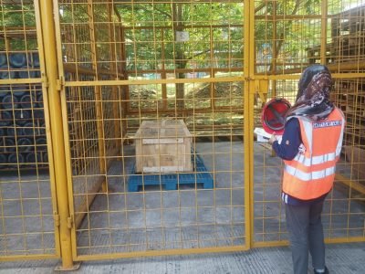 ac5d6bb8-6b84-4fad-9167-5b197bb4164a