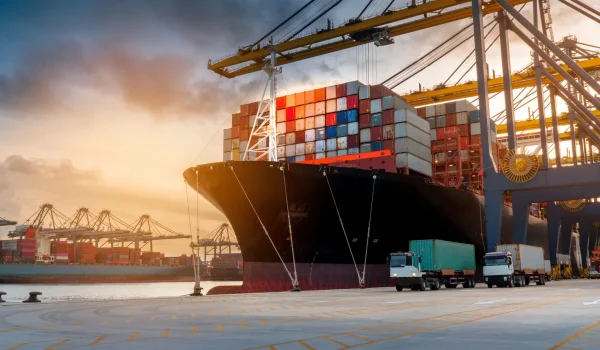 Reliable Horizons: Delivering Excellence in Every Shipment